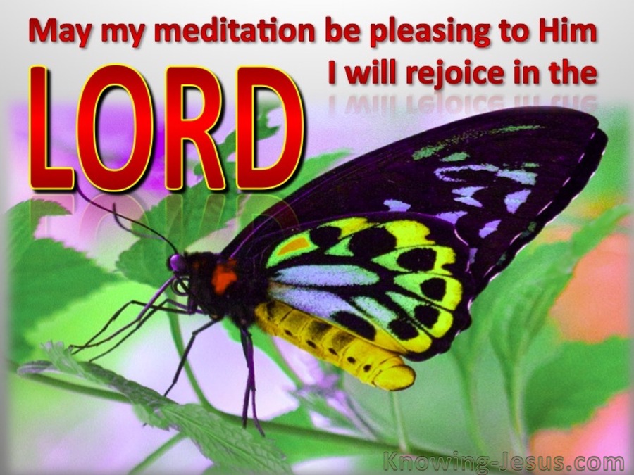 Psalm 104:34 I Will Rjoice In The Lord (red)